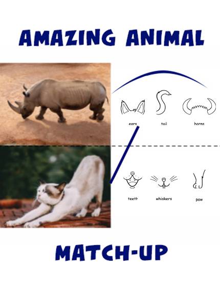 Amazing Animal Match-Up - Hero Elementary