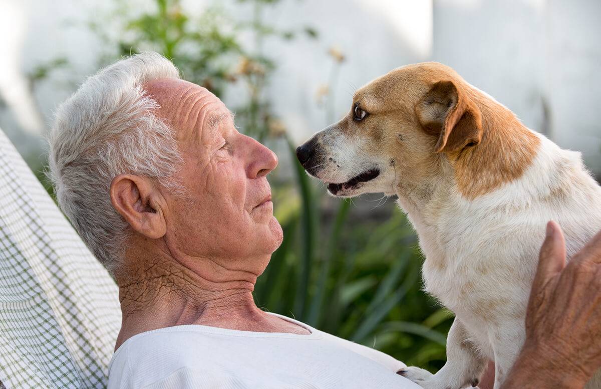 Pet Adoption Programs Match Older Owners and Senior Dogs