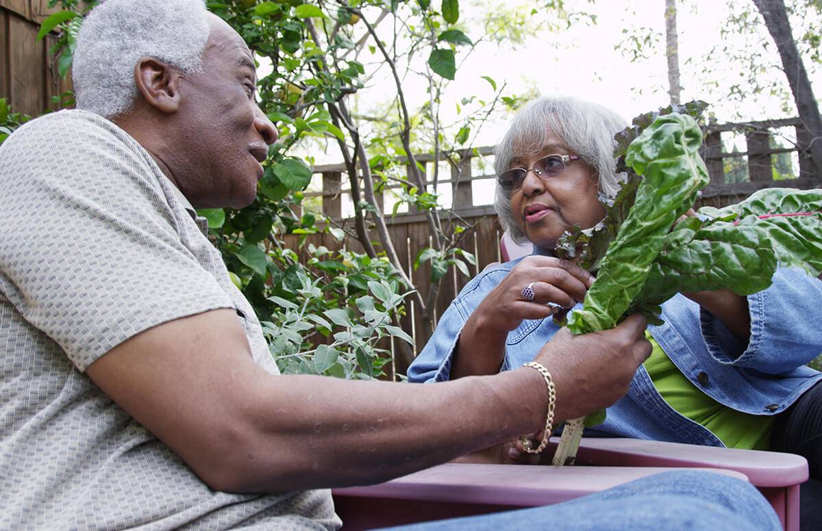 Winners of the Innovation@Home Aging in Place Contest