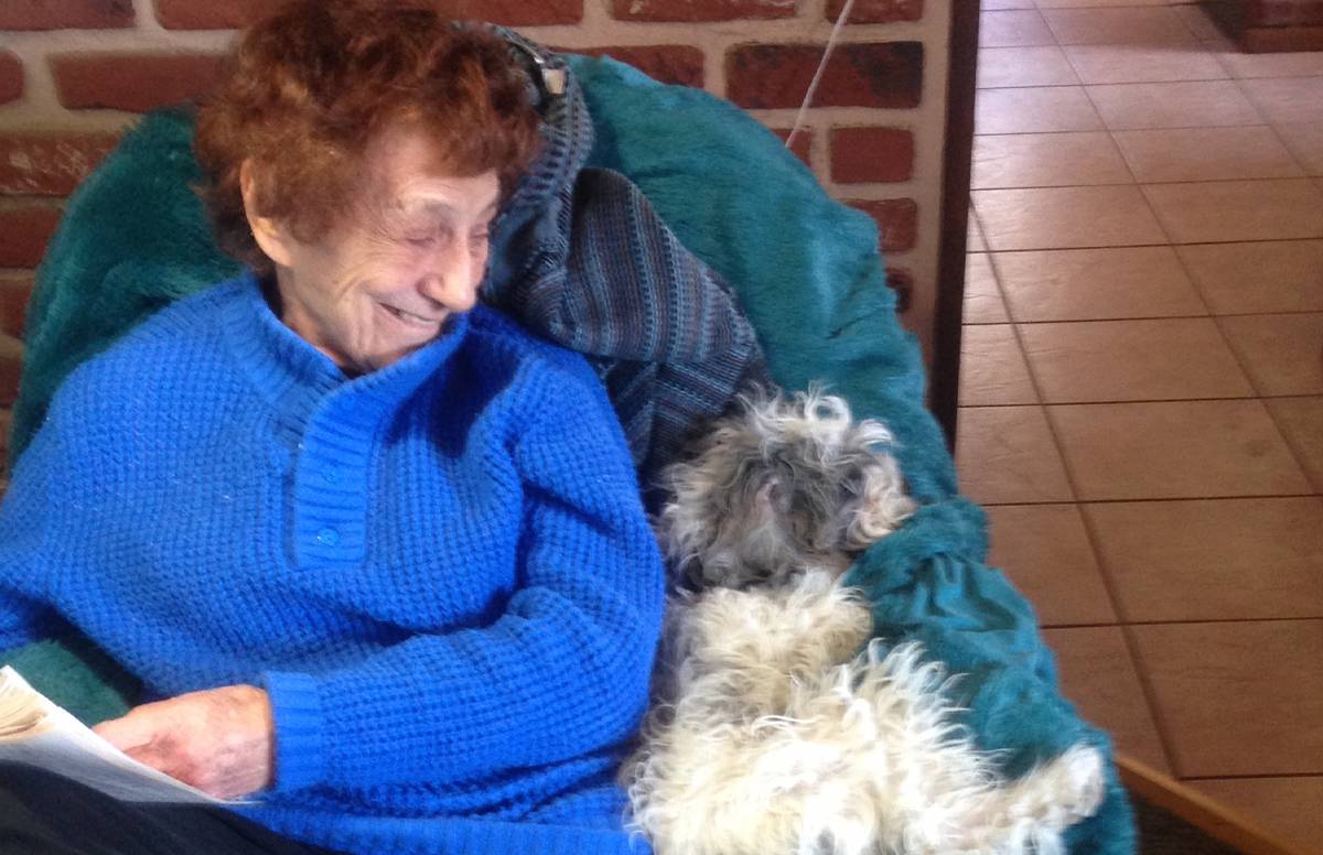 Where Family Caregivers Can Get