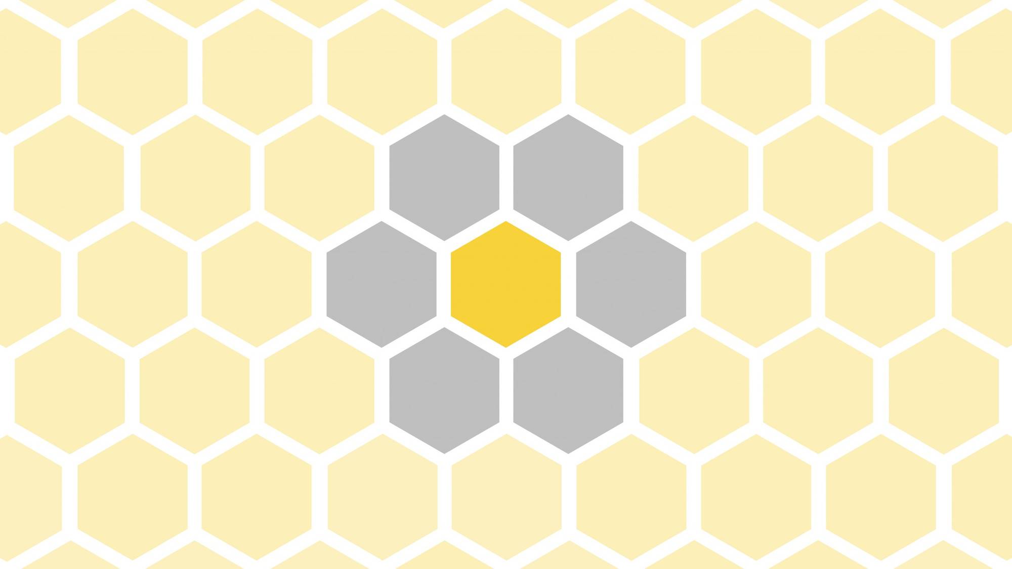To Bee or Not to Bee | Next Avenue