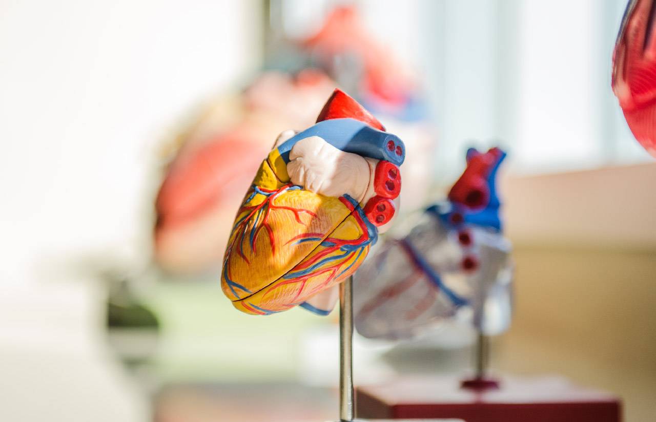Long COVID, Your Heart, and Cardiovascular Complications