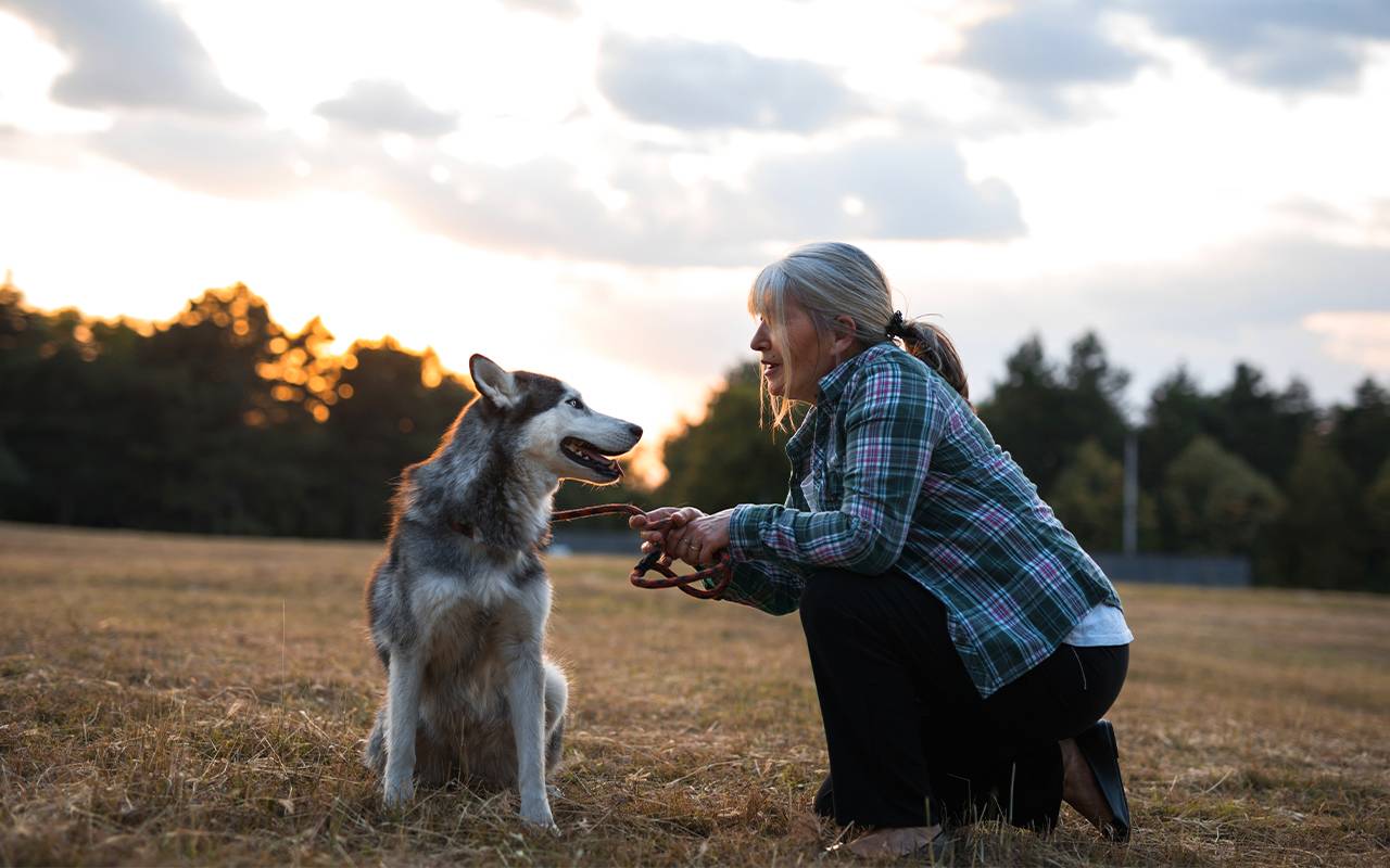 How to Safely Walk Your Dog Next Avenue