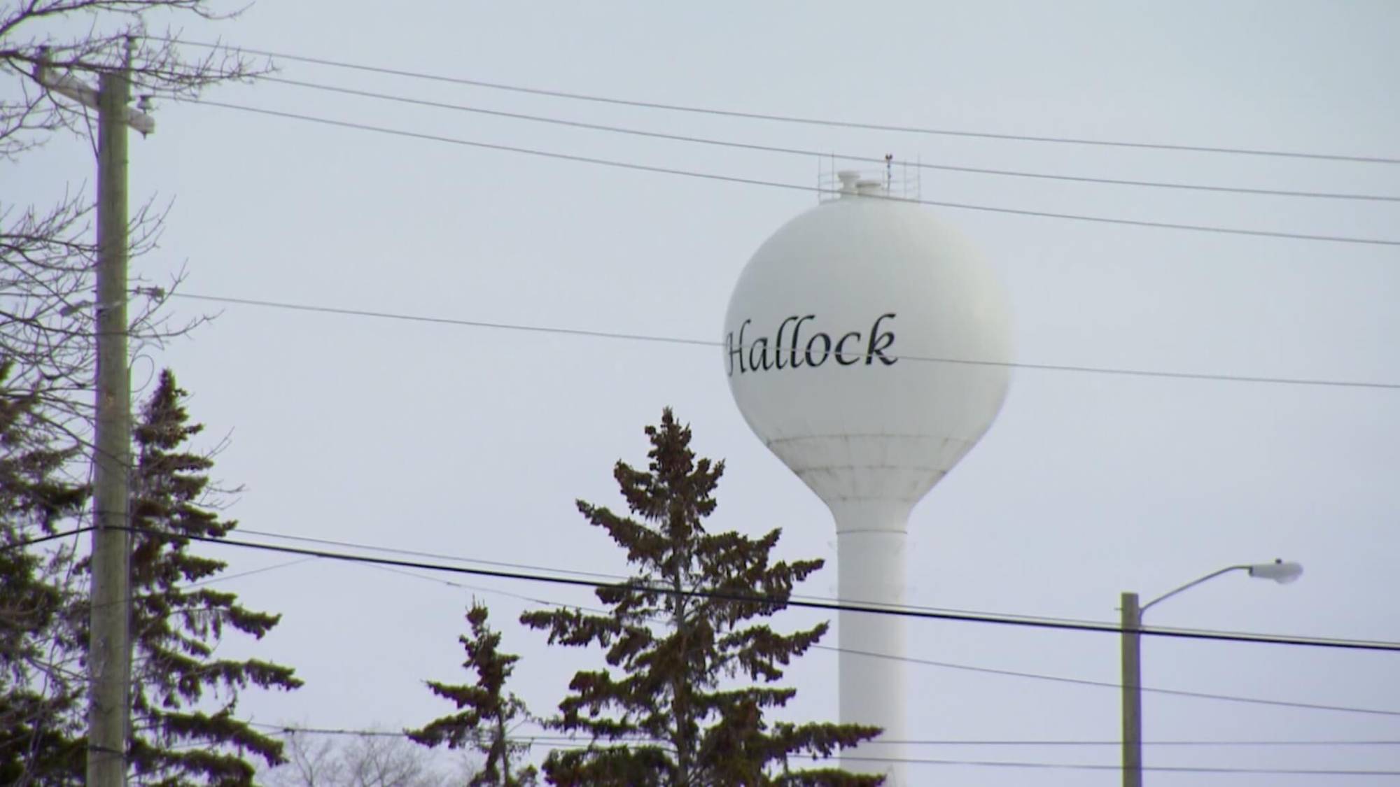 Find Out How Hallock, MN Defies SmallTown Trends TPT Originals