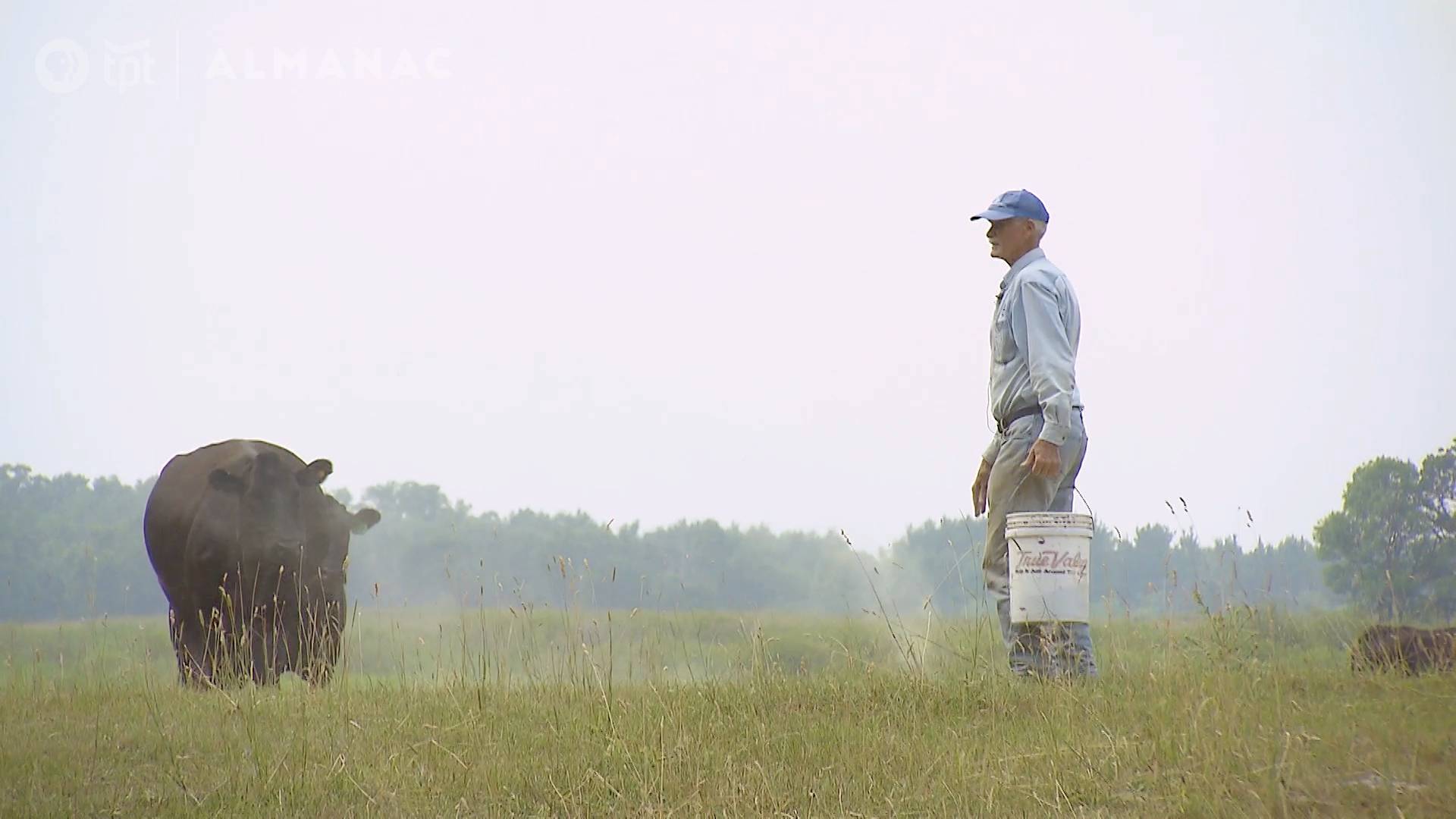 A Dry Spell Threatens Minnesota's Livestock Farmers | TPT Originals