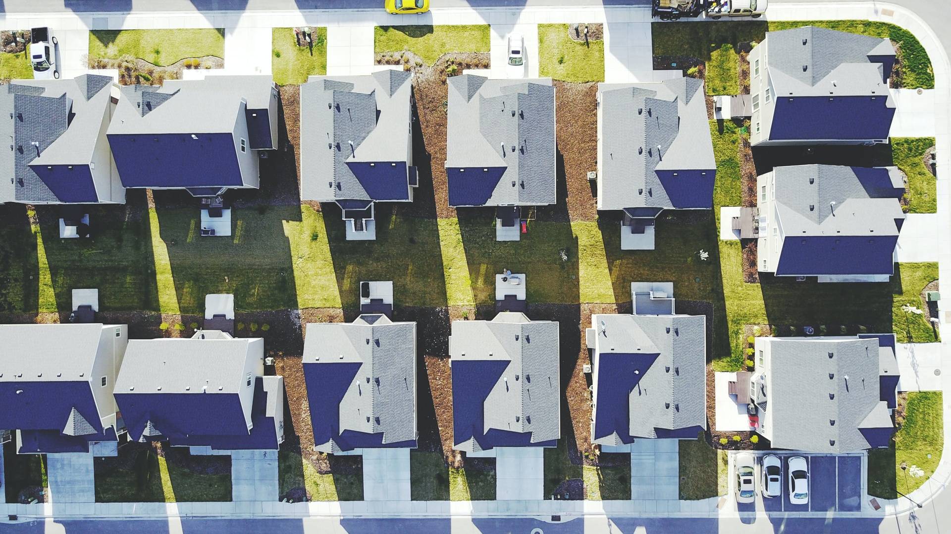 Pennies On The Dollar TPT Originals