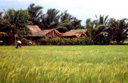 Verdant field in foreground, thatched roofs of a village in background.