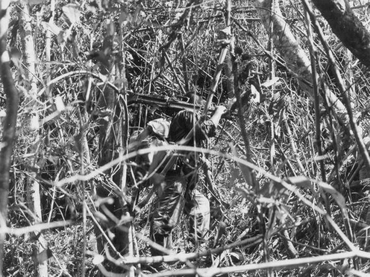 A soldier walking through dense vegetation.