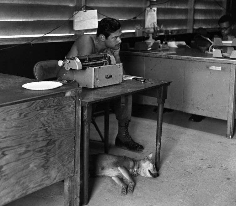Interior shot of office. Two young men sit at desks behind typewriters, a dog sleeps under the foreground desk.