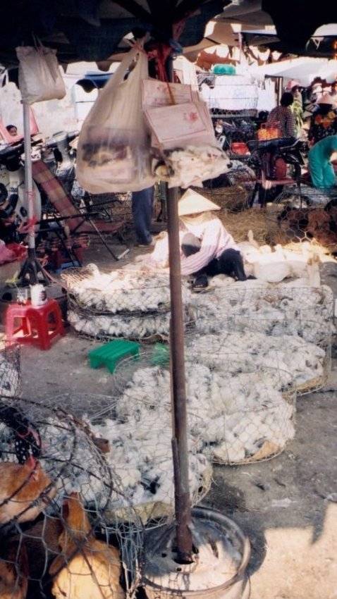 A street marketplace.