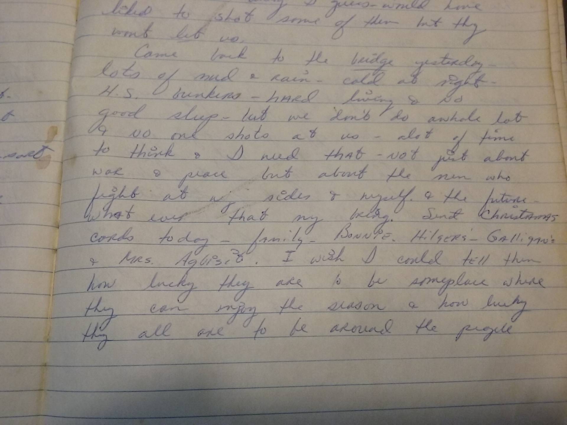 Handwritten page from a journal.
