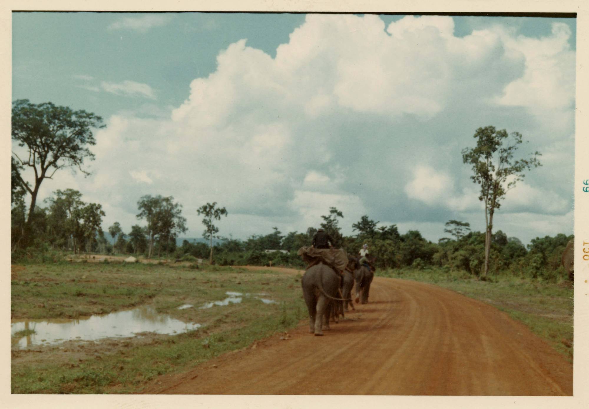 Three elephants and riders walking along a dirt road in a lush setting. Margins indicate the photo was taken October 1966.