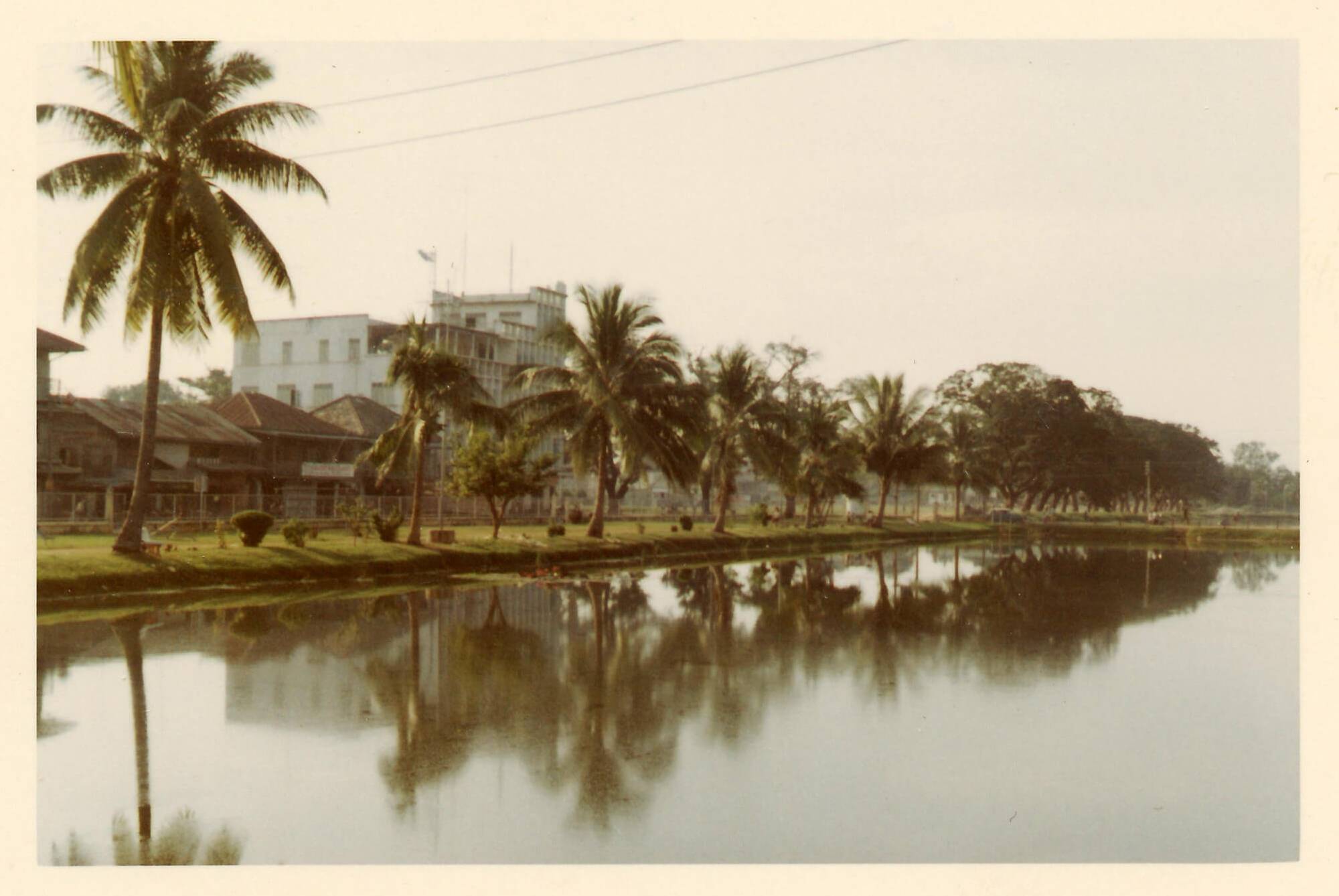 Buildings, shacks, and palm trees along a body of water.