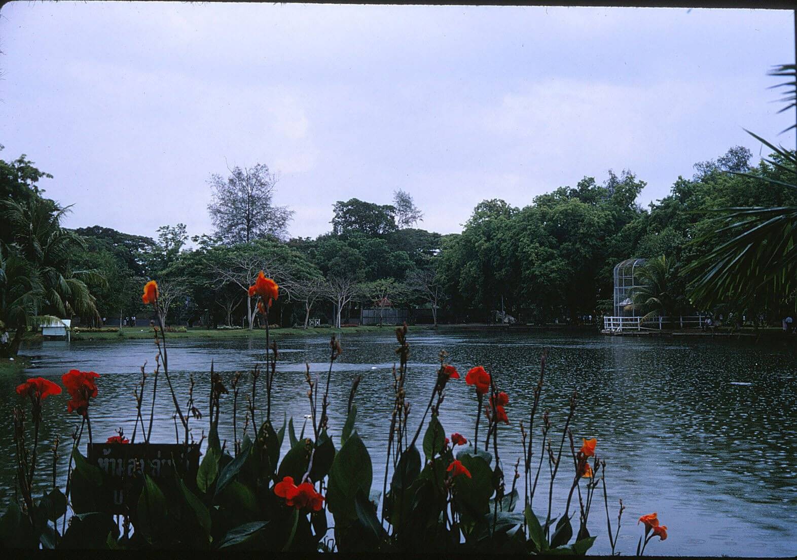 A landscape: orange tropical flowers in the foreground, a pond in the middle ground, and lush trees in the background.