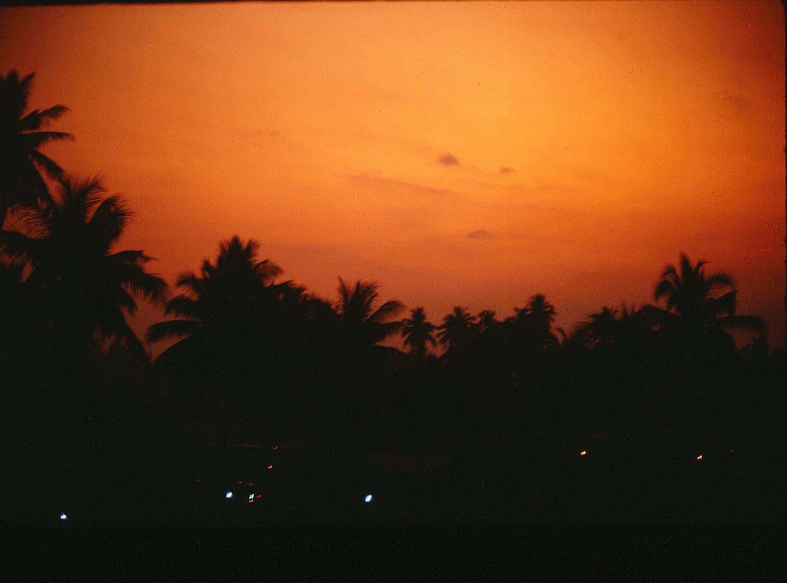 Black silhouettes of palm trees and buildings against a bright orange sky.