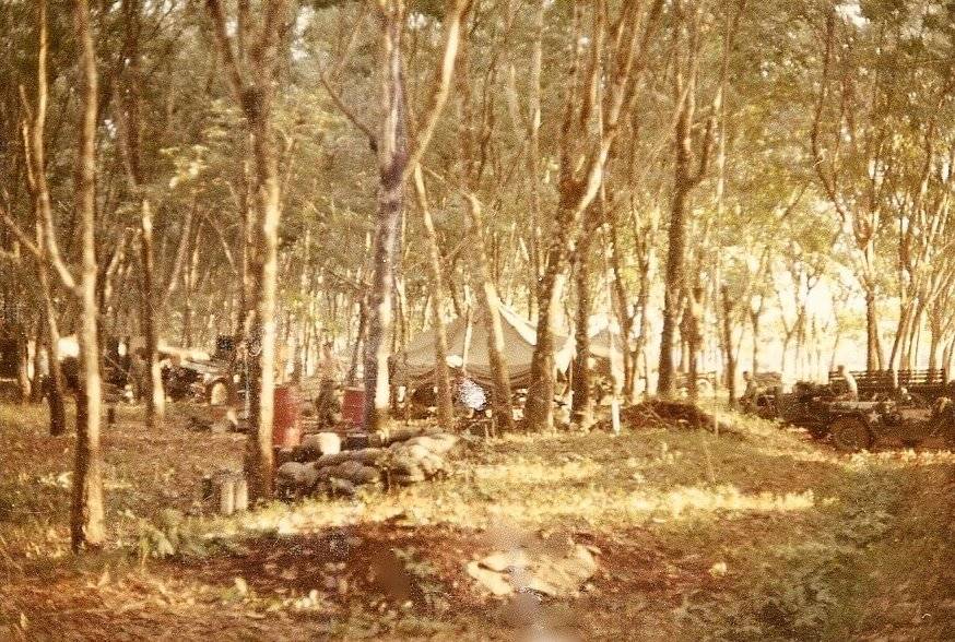 An encampment in the jungle.