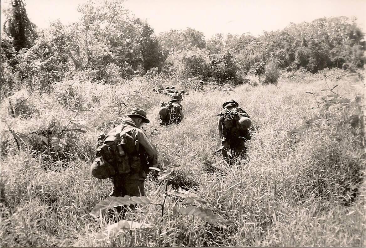 A group of soldiers walking through tall grass and into the jungle.