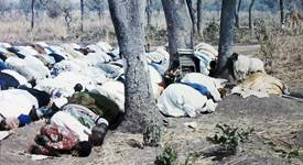 People bowed down in prayer in a desert.