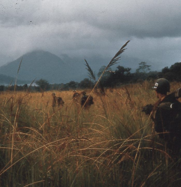 GIs walking through long grass on a stormy day.