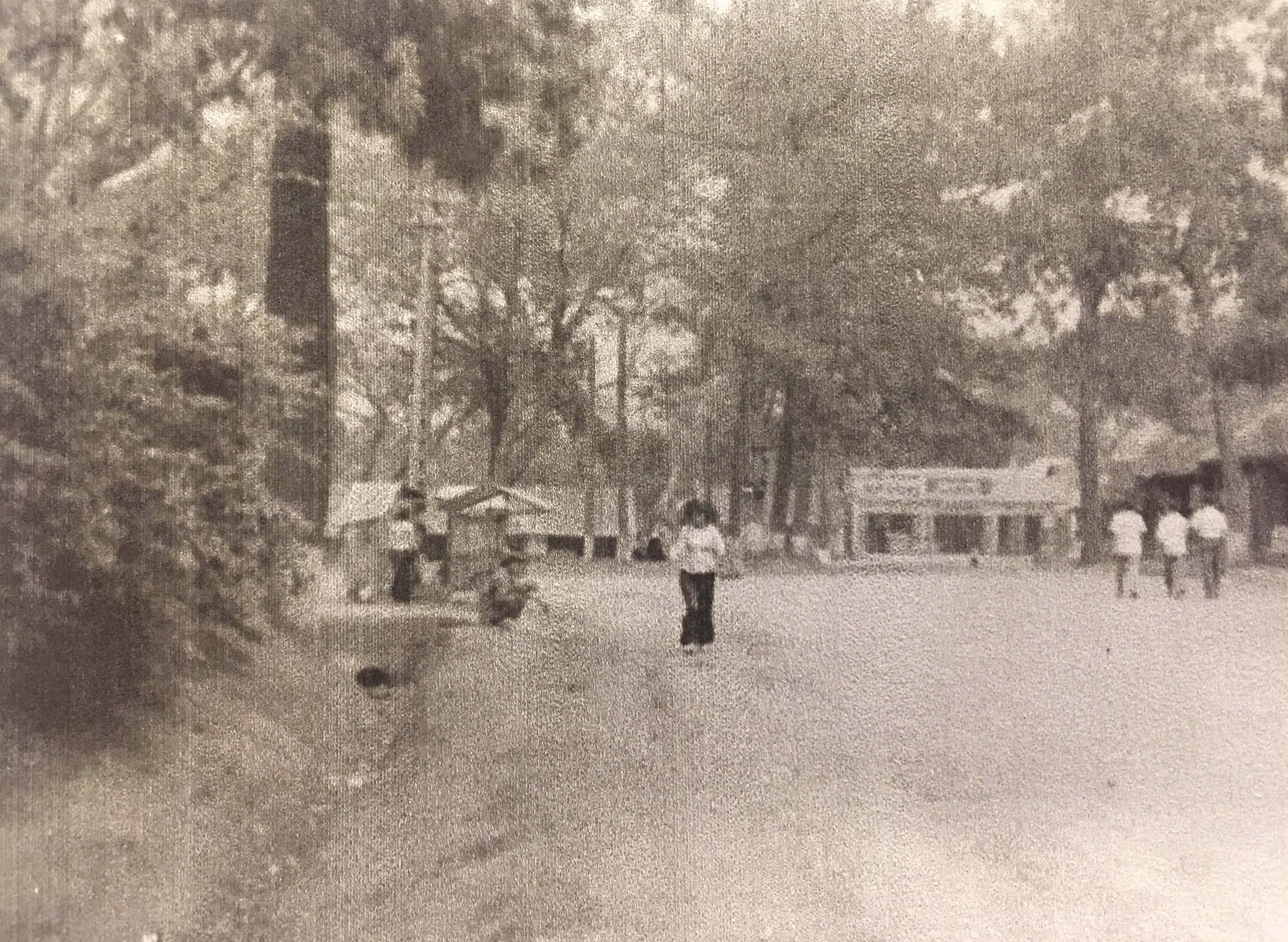 A street with tall trees on all sides, some people in the street, and a ditch off along the side of the road.