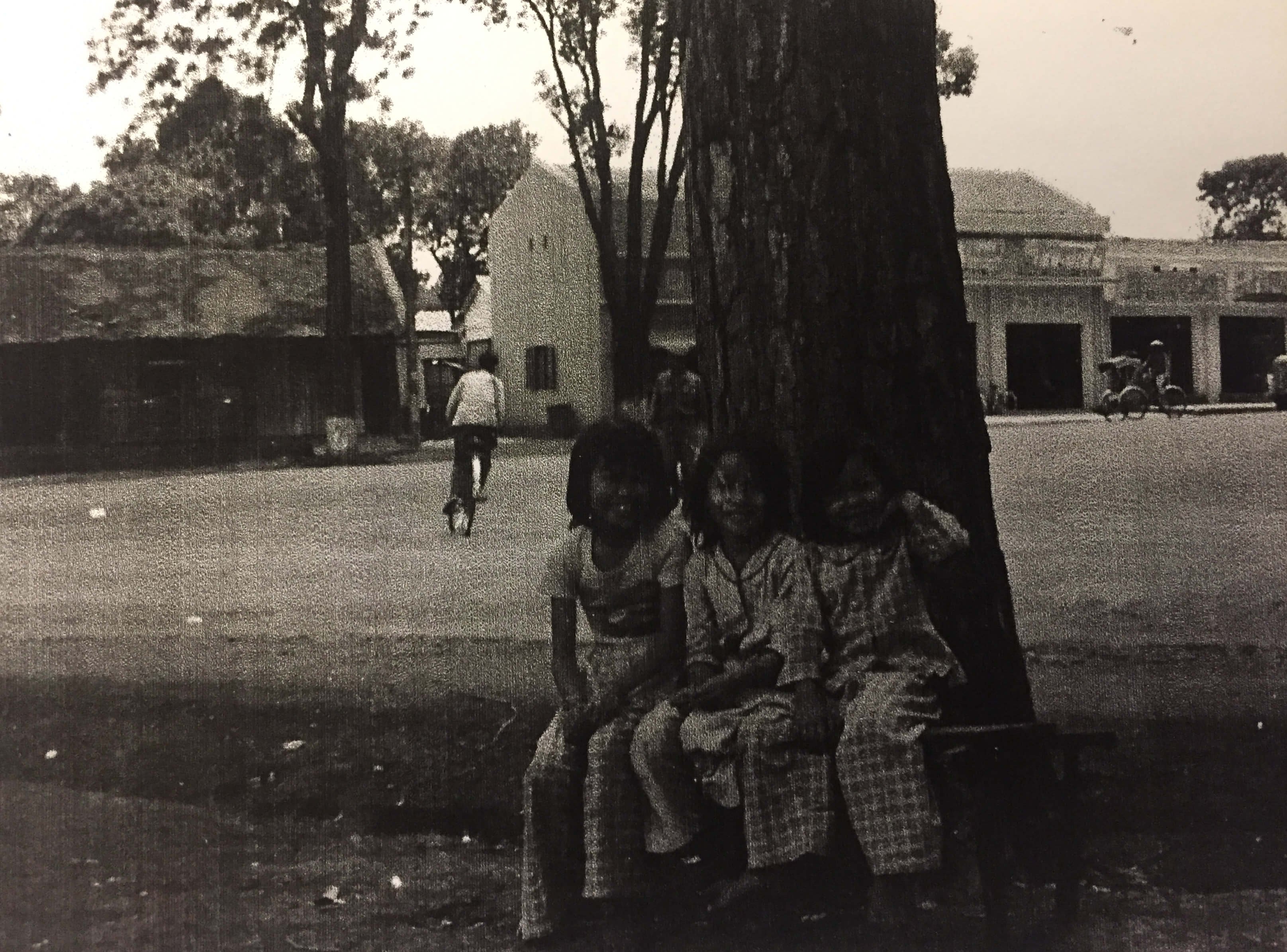 Three young girls sitting on a bench under the shade of a tree. People ride bicycles on the street in the background.