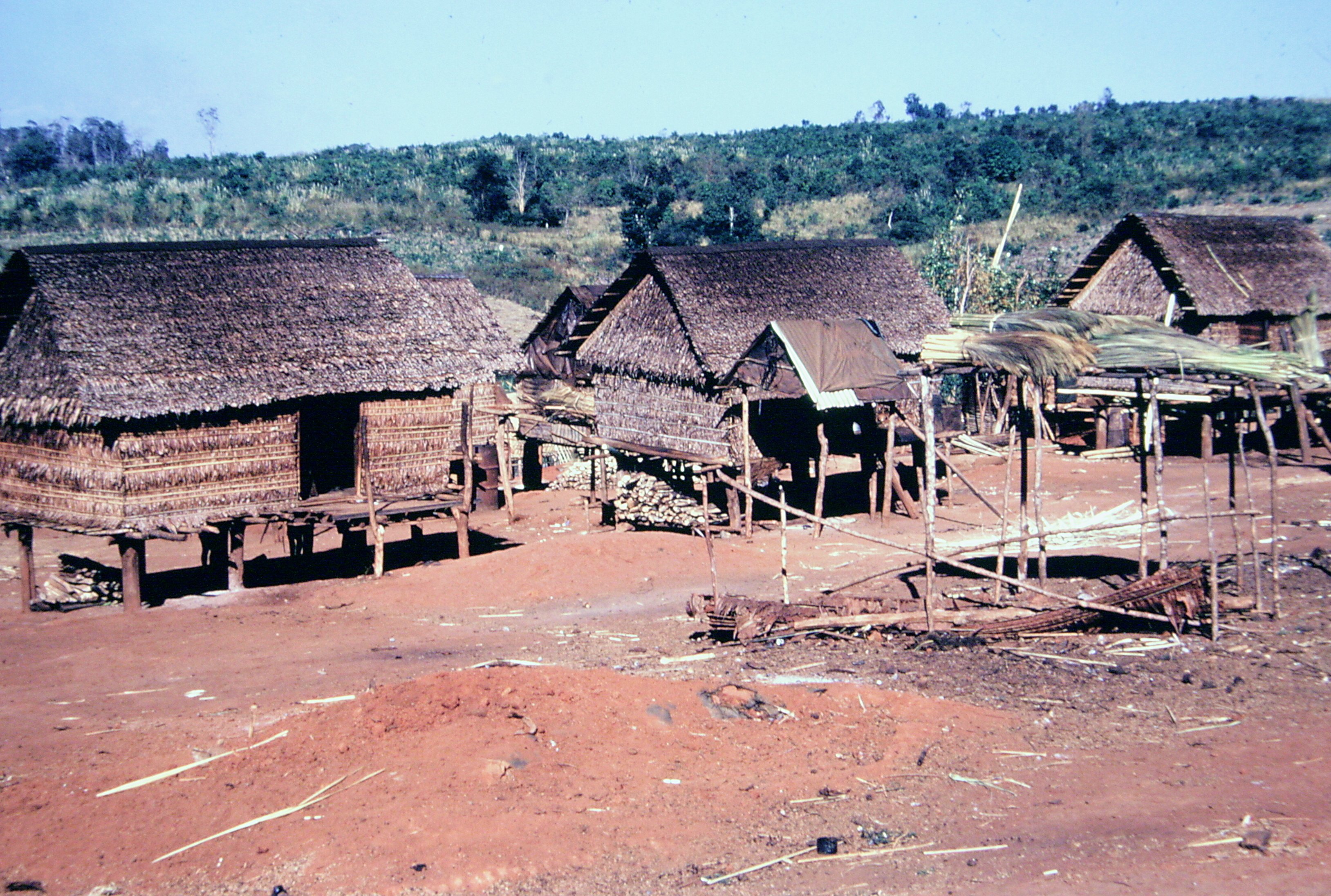 Thatched huts in a village.