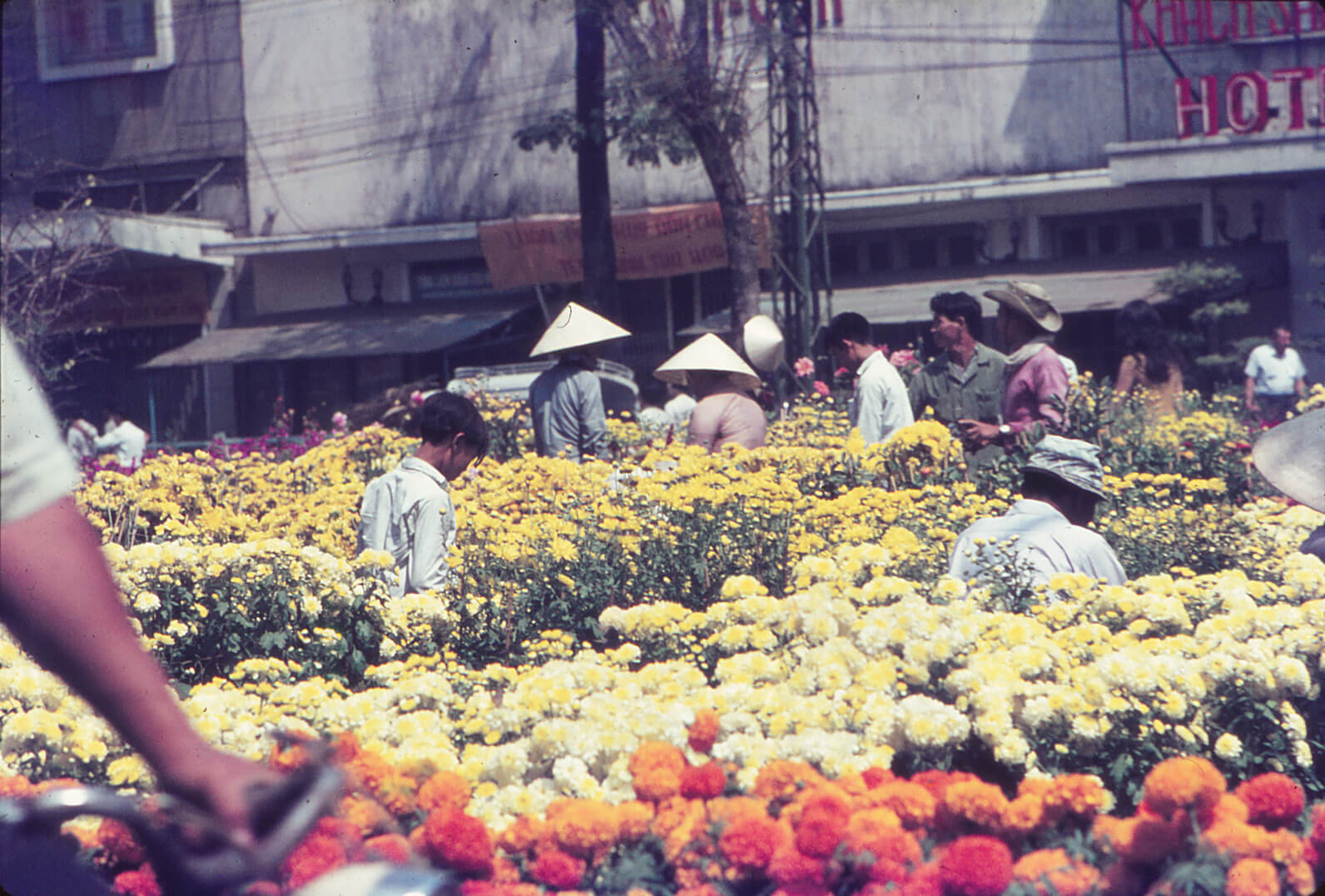 An outdoor marketplace filled with flowers, people in conical straw hats.
