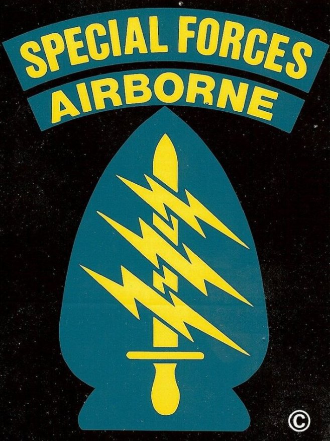 A teal logo with a yellow saber and three lightening bolts that says "Special Forces Airborne".