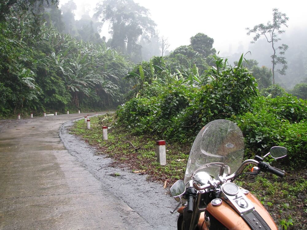 Contemporary photo of a motorcycle parked on a road that cuts through a rainy jungle.