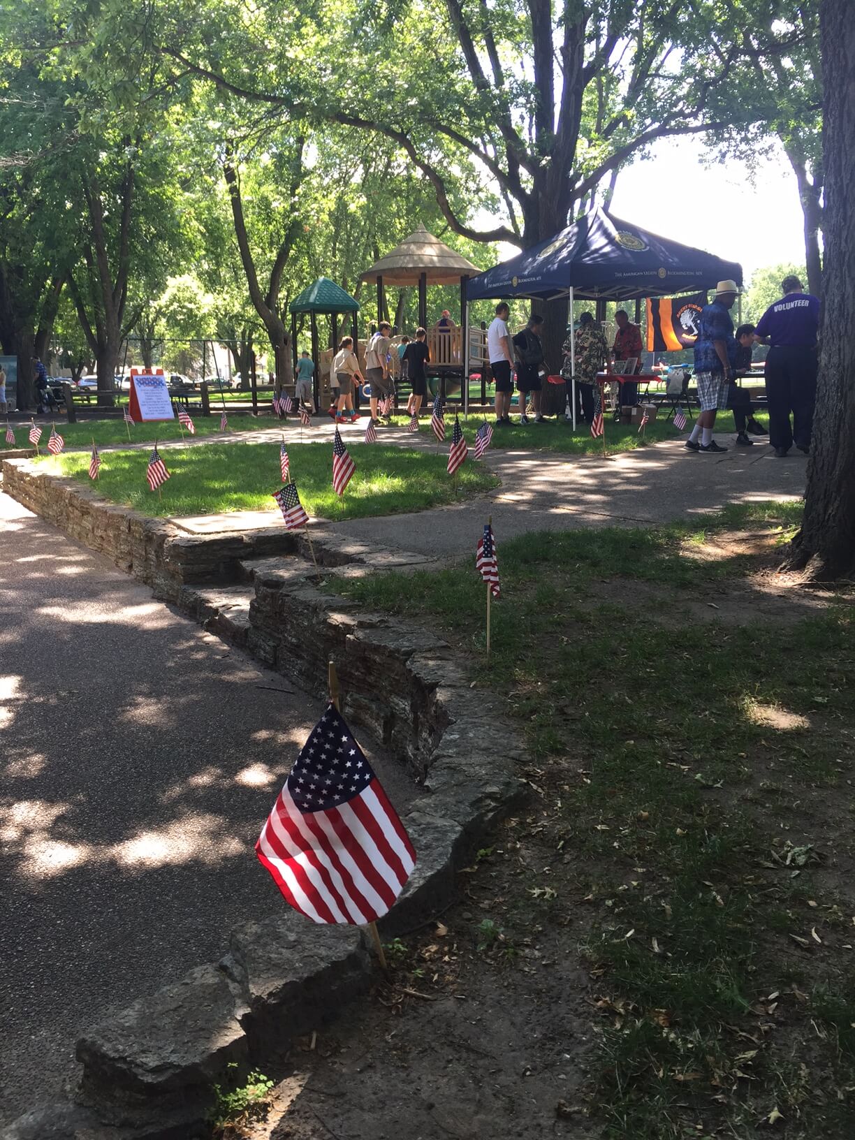 Flags at a community picnic.