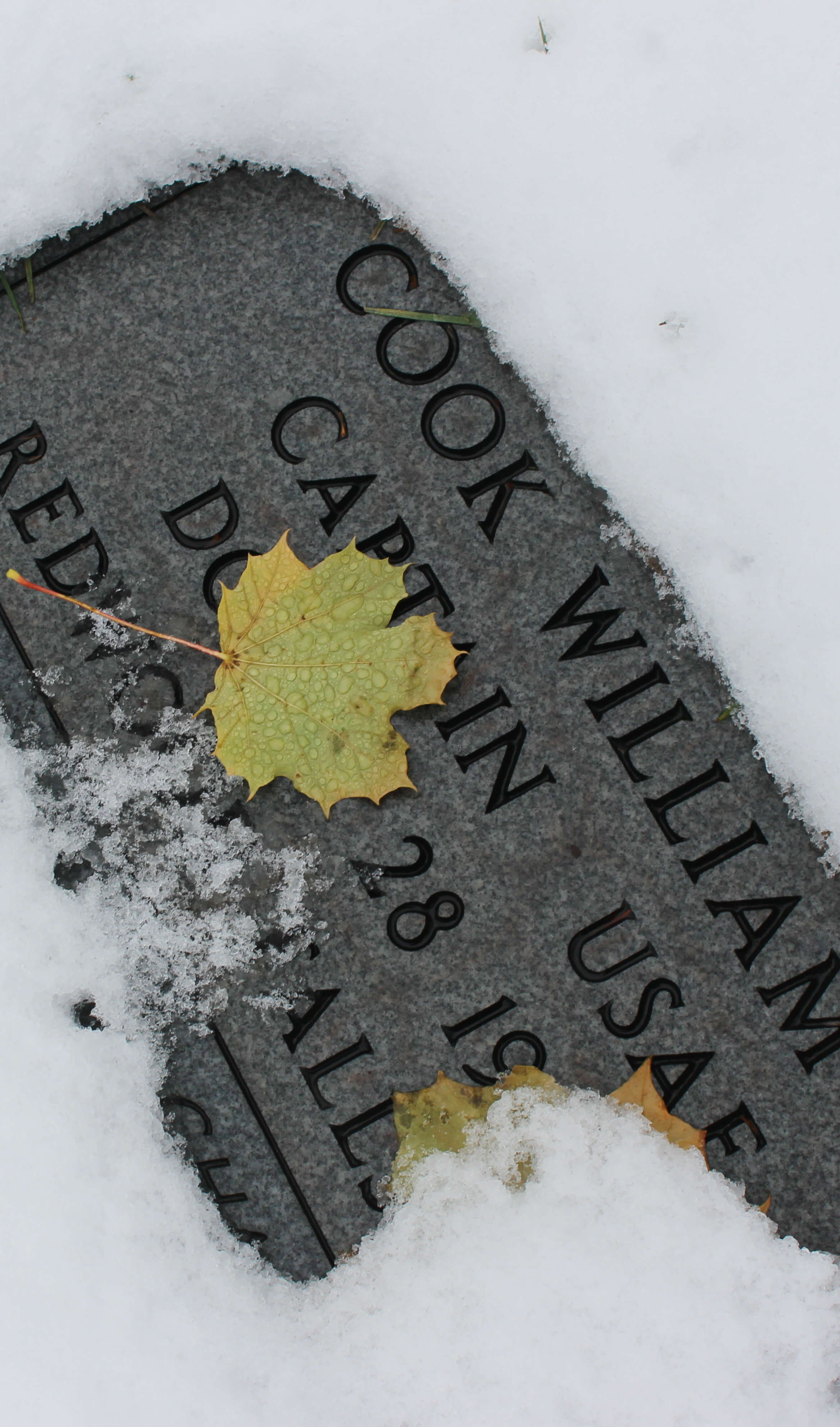 Memorial stone with the name Cook William.