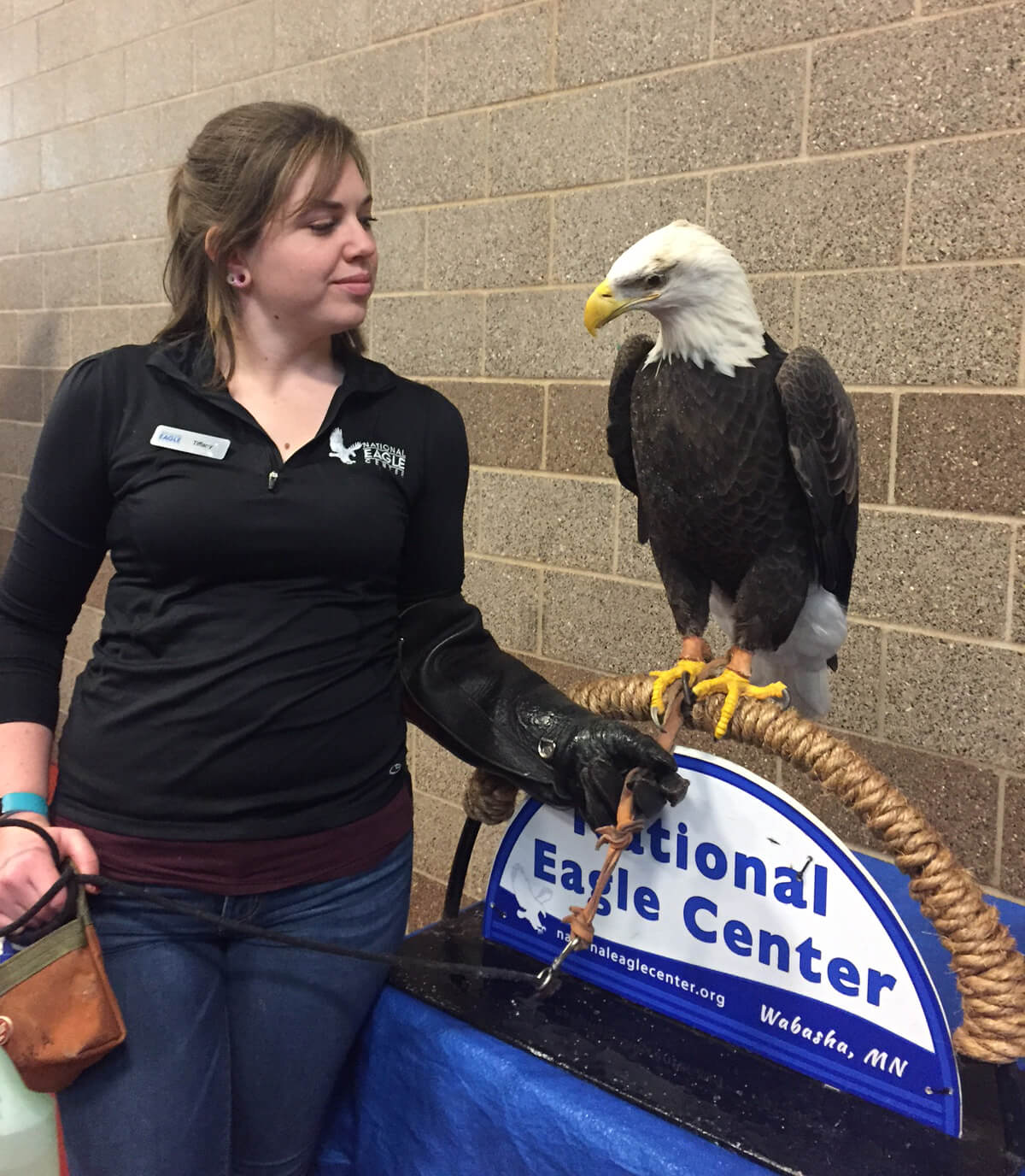 Woman holding a Bald Eagle at an event