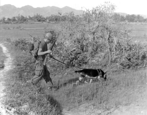 Black and white photo of a Vietnam War soldier and dog