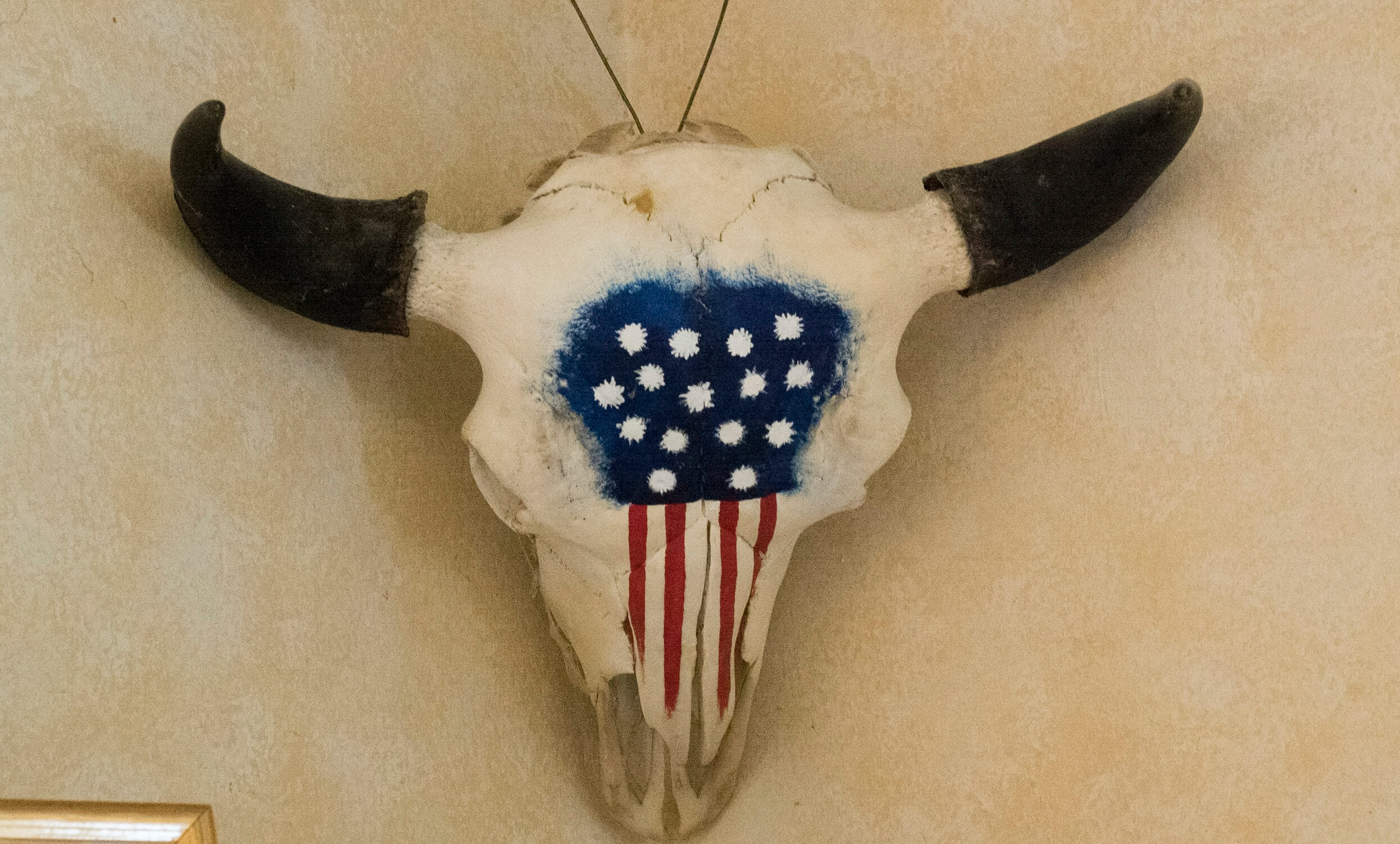 Buffalo skull painted with American Flag