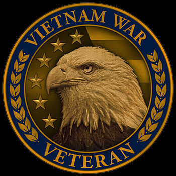 The front of the Vietnam Veteran lapel pin featuring an eagle